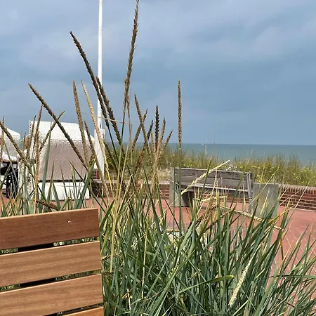Apartment Haus Monopol Himmel Und - Direkter Meerblick Mit Nord-balkon *